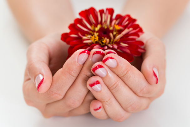 Mains féminines avec ongle de manucure
 - Photo, image