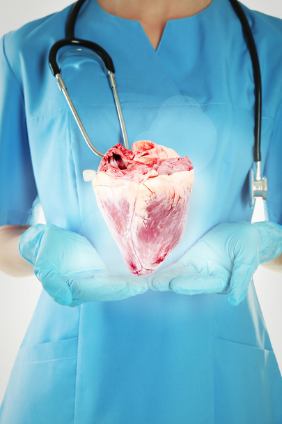 Medical concept. Female doctor with real heart in hands. - Foto, Bild