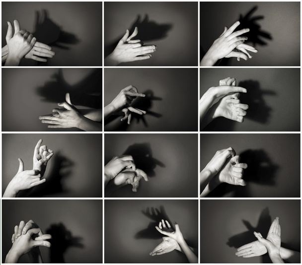 Hands gesture like different  animals and figures on gray background - Foto, imagen