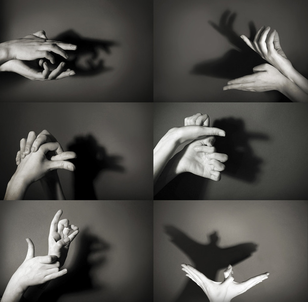 Hands gesture like different  animals - Foto, imagen