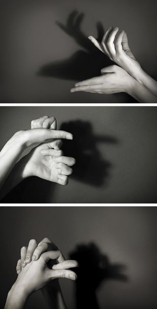Hands gesture like different  animals - Foto, imagen