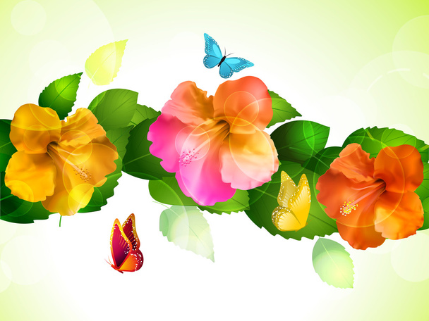 Цветы и бабочки гибискуса
 - Фото, изображение