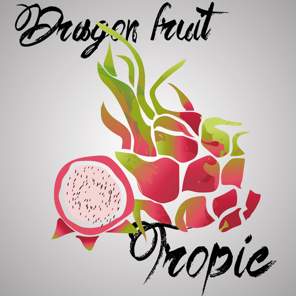 дракон фрукти з акварельними бризками
 - Вектор, зображення