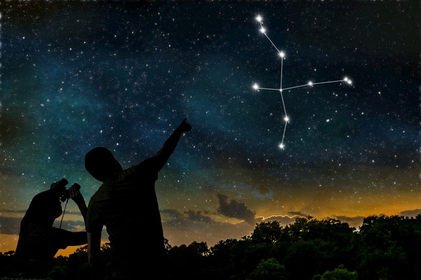 Cygnus oder Schwan am Nachthimmel. Astrologie-Konzept. si - Foto, Bild