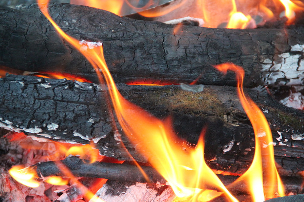burning logs - Foto, imagen