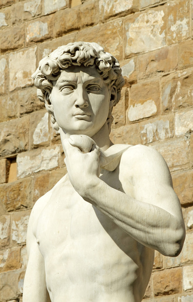 Statua di David
 - Foto, immagini