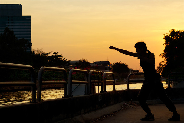 Силуэт женского бокса и боевых искусств на закате
 - Фото, изображение