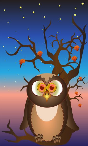 Beauty owl - Vektor, Bild