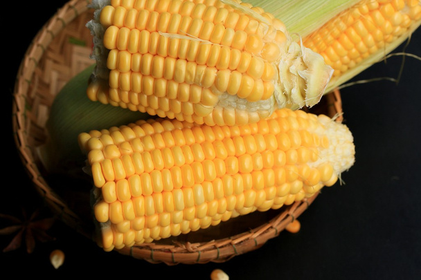 Kukurydza i suszone nasiona - Zdjęcie, obraz