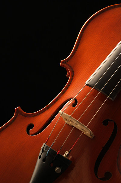 Violin - Fotografie, Obrázek