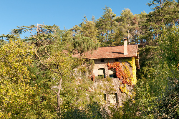 House in the woods, Spain - Foto, Imagen