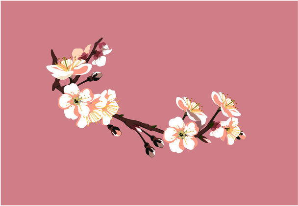 Japanese sakura - Wektor, obraz