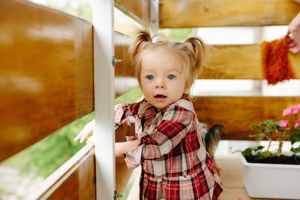Küçük kız balkonda oynamaktan - Fotoğraf, Görsel