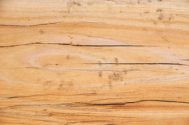 Texture of wood background closeup - Foto, imagen