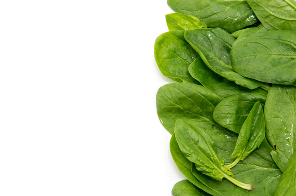 Spinach on a white background - Φωτογραφία, εικόνα