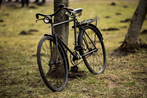 Bicicleta velha na floresta
 - Foto, Imagem