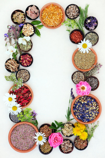 Gyógyító gyógynövények és virágok - Fotó, kép