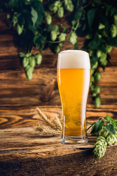 Glass of beer on old wooden table and wooden background - Photo, Image