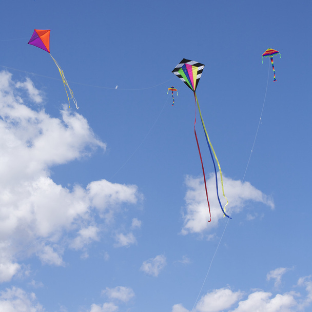 Kites Flying - Photo, Image