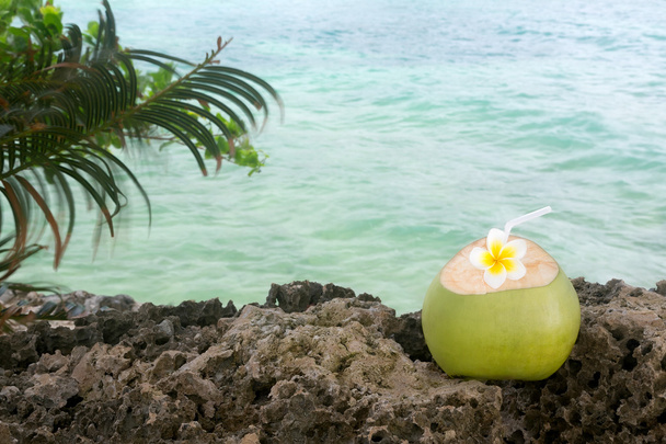 Erfrischung durch tropische Kokosnüsse - Foto, Bild
