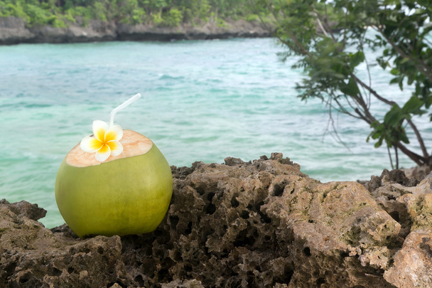 refresco de coco tropical
 - Foto, Imagem