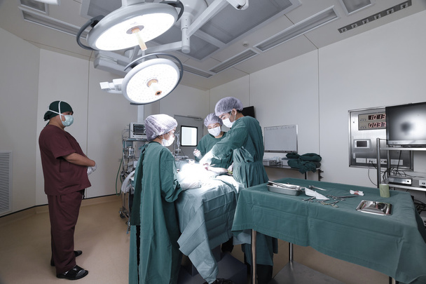 grupo de cirurgia veterinária na sala de operação tomar com técnica de cor seletiva e iluminação de arte
 - Foto, Imagem