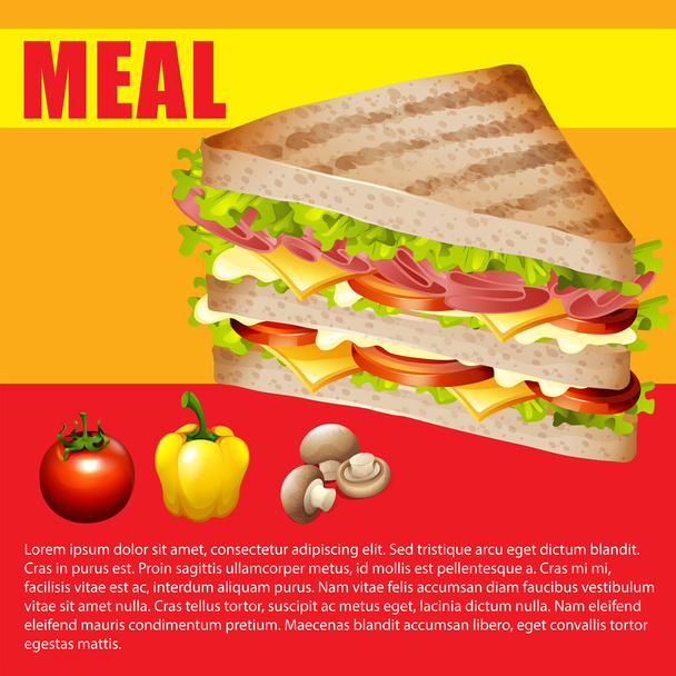 Infografía de comida rápida e ingredientes frescos
 - Vector, Imagen