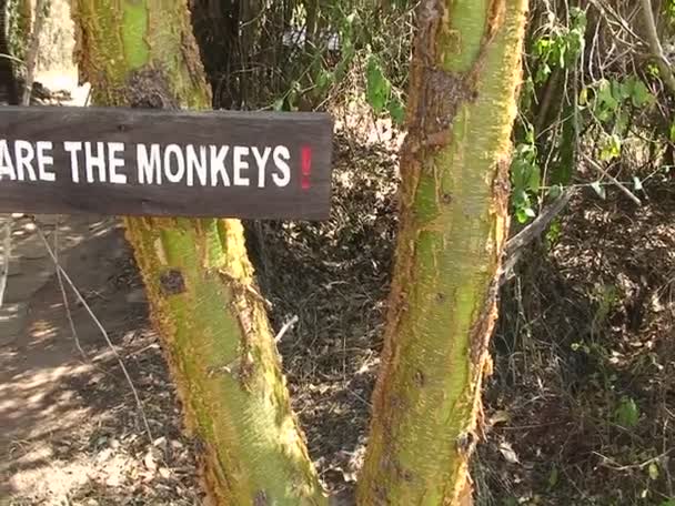 Sign instructs people to beware of monkeys - Video