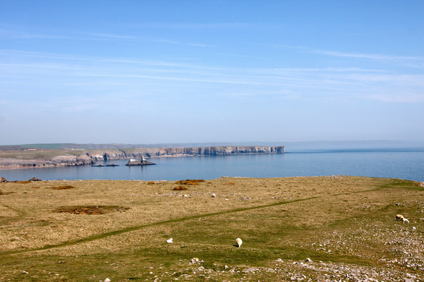 Pembrokeshire kustlijn - Foto, afbeelding