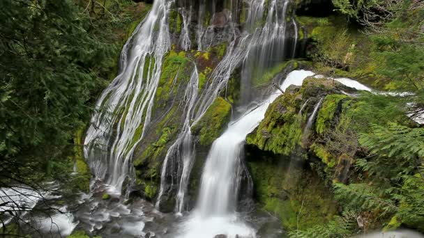 HD Film dlouhé expozice vody proudící v Panther Creek klesne v Skamania County Washington 1080p - Záběry, video