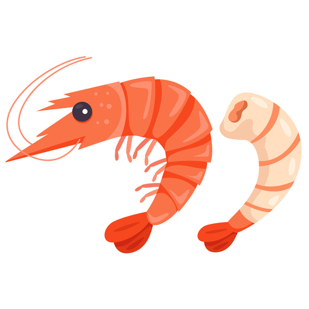 Illustrator of shrimp - Vektor, kép