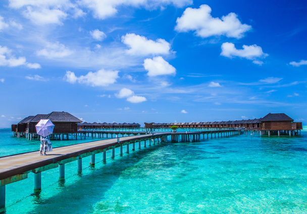 gyönyörű strand, Maldív-szigetek - Fotó, kép