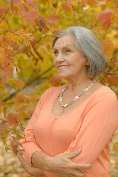 Seniorin im Herbstpark - Foto, Bild