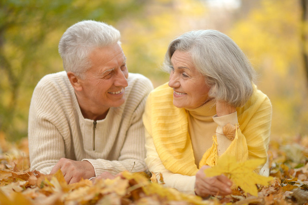 Senior couple at autumn park - Foto, Bild