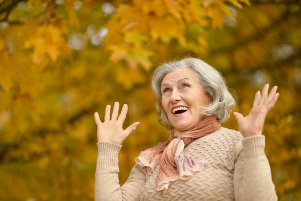 senior woman in  autumn park - 写真・画像