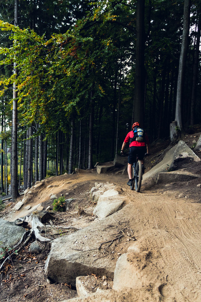 Biciclista de montanha ciclismo na floresta de outono
 - Foto, Imagem