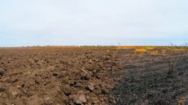 Przeoranych i nieprzeoranych powierzchniach upraw rolnych pola przed siewem - Materiał filmowy, wideo