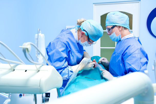 Dental implantation procedure - Photo, image
