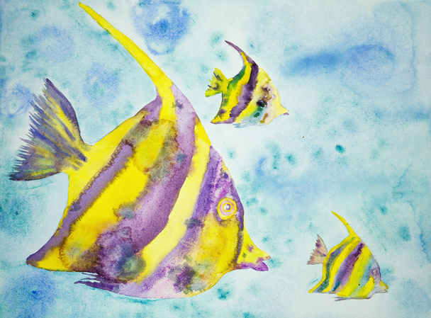 Żółty i fioletowy fantazji ryb. - Zdjęcie, obraz