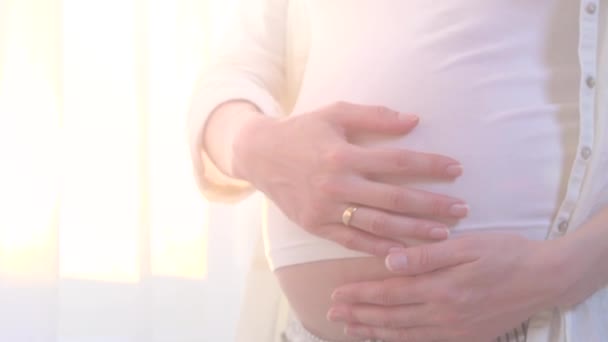 pregnant woman caressing her belly - Felvétel, videó
