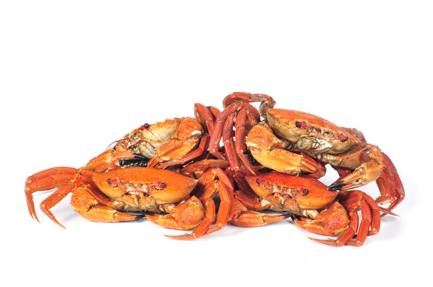 crabes de velours brut
 - Photo, image