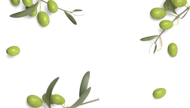 Větve s listy a olivami - Fotografie, Obrázek