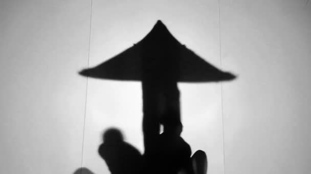 Teatro de sombras
 - Imágenes, Vídeo