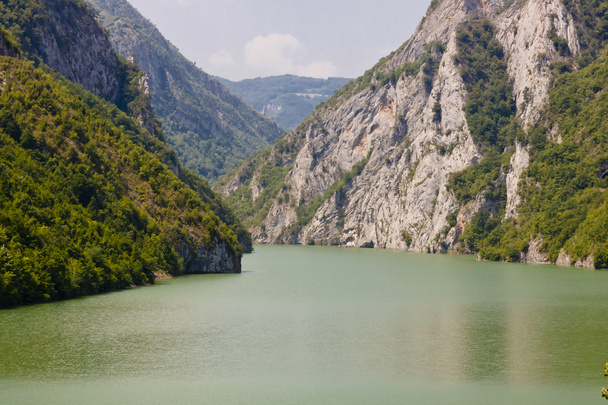 řeky Drina - Bosna a Hercegovina - Fotografie, Obrázek