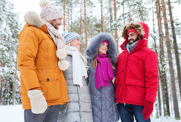 group of smiling men and women in winter forest - Foto, Imagem