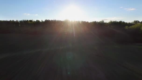 4k Flug aus der Luft über Sommerfelder hinter den Bäumen - Filmmaterial, Video