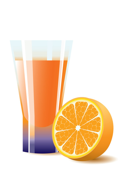 Cocktail in high glass with orange. Vector. - Вектор,изображение