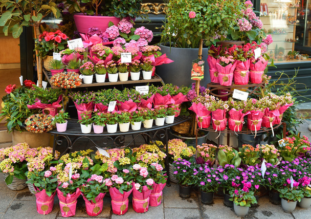 flower shop in Vienna - Foto, Imagem