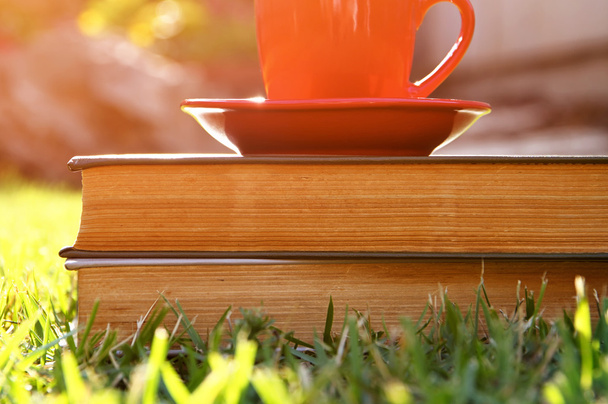 coffee cup and book - Photo, image