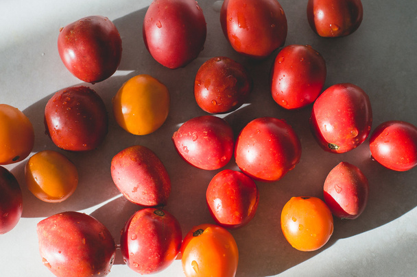 Organic tomatoes - Photo, Image